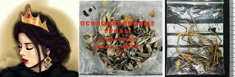 Галлюциногенные грибы MAGIC MUSHROOMS  купить наркотик  Красновишерск 